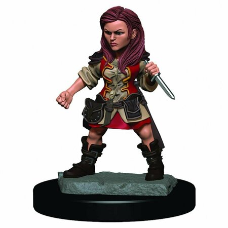 TOYS4.0 Dungeons & Dragons Icons of the Realms Premium Halfling Female Rogue Miniature TO2737413